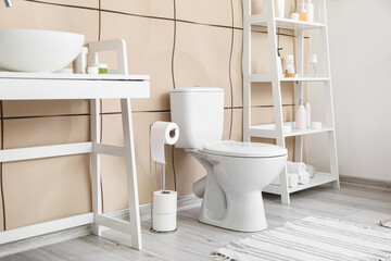 Interior of modern restroom with toilet bowl