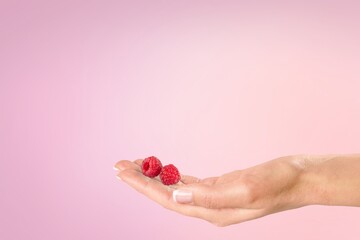 Yound female hand hold ripe red raspberry Female hand with crimson manicure. Crimson nail design.