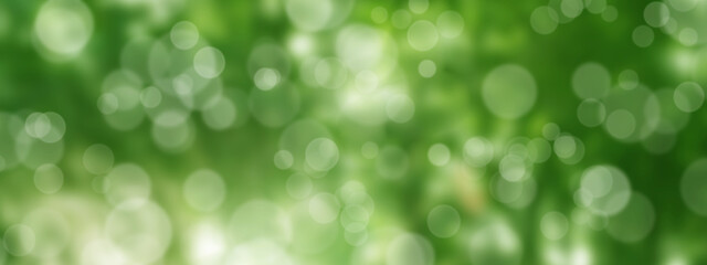 Abstract nature green background, blurred bokeh effect, wide banner © inspiretta