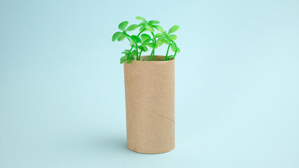 Green plants in a roll of toilet paper on a blue background.