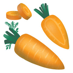 Carrot whole isolated set with green leaves. Orange fresh vegetable hand drawn cartoon illustration. Healthy lifestyle. Vegetarian food diet menu. Vitamin raw snack lunch