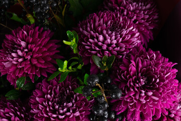 close up of chrysanthemum