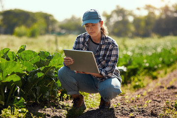 Making things a little easier. Full length shot of an attractive young female farmer using a tablet while working on her farm.