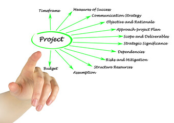 Presenting Twelve facets of Project