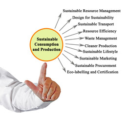 Drivers of Sustainable Consumption and Production