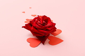 Beautiful rose and paper hearts on pink background. St. Valentine's Day