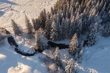 Vue aérienne drone verticale d'une forêt de sapins enneigés traversée par une rivière...