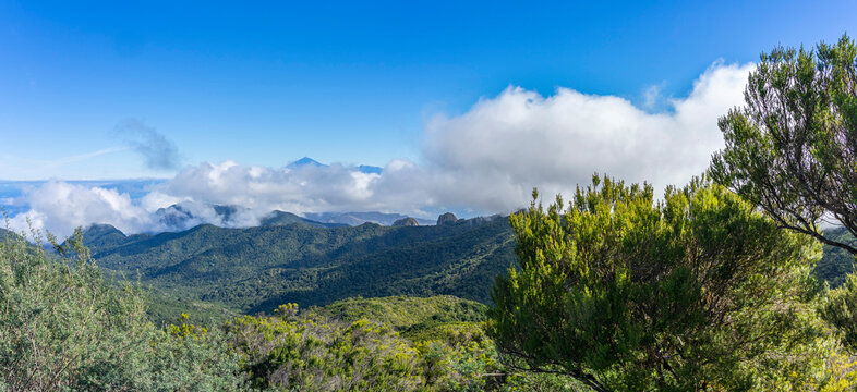 Wanderurlaub auf LA GOMERA, Kanarische Inseln: Panoramablick bei Wanderung am Gipfel Alto de Garajonay im Nationalpark Richtung Teide in den Wolken