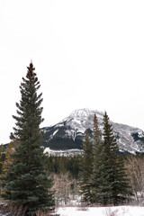 Mountains trees and lakes In Canada 