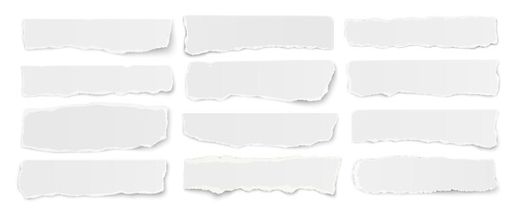 Horizontal set of torn long pieces of paper isolated on a white background.