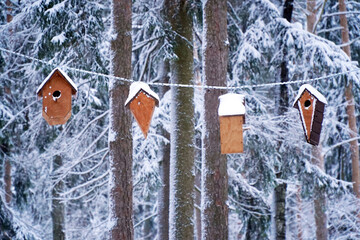 Houses for birds to feed in the forest in winter