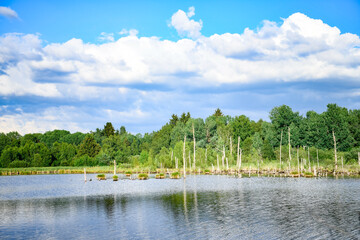 Landscape about Schwenninger Moos, Black Forest Germany. Blue sky and reflections on the lake