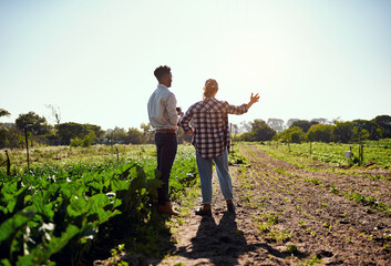 Live life to the greenest. Rearview shot of two young farmers looking at a tablet while working on...