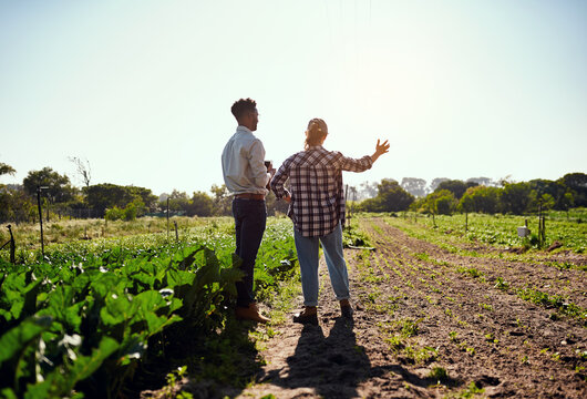 Live life to the greenest. Rearview shot of two young farmers looking at a tablet while working on their farm.