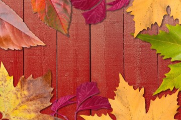 Frame made of different dried colored leaves on a background. Autumn composition