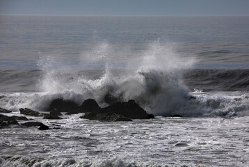 Obraz premium Pacific Ocean Surf