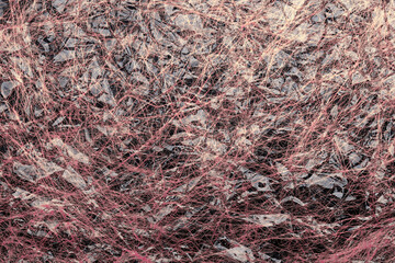 Abstract background of small pink threads under cellophane. Close-up