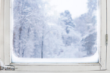 Winter frozen window. Wooden frame. Forest outside the window