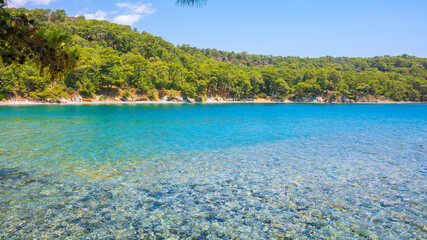 Fototapeta na wymiar Phaselis beach. Crystal clear sea and forest on the background in Phaselis