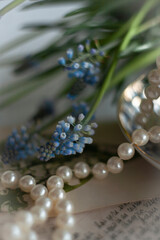 Blue muscary on a white background with pearl beads. Spring composition.