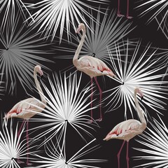 Fototapety  Flamingo on a black background, jungle. Seamless pattern with flamingos and tropical fan palms.  Colorful pattern for textile, cover, wrapping paper, web.