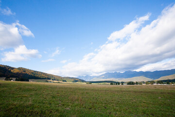 Cansiglio woodland autumn view. Nature landscape