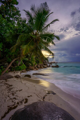 Fototapeta na wymiar sunset at tropical beach anse georgette on praslin on the seychelles