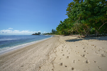 tropical beach anse georgette on praslin on the seychelles