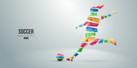 football soccer player woman in action isolated white background. Vector illustration