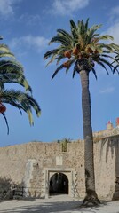 Naklejka premium château fort de Saint-Tropez sur la french Riviera dans le Var, sud de la France