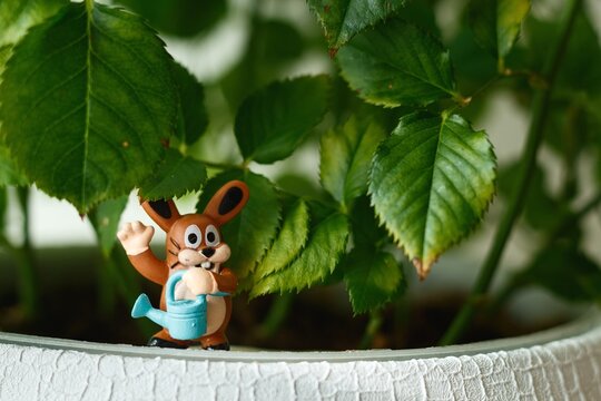 Figurine of hare water plant