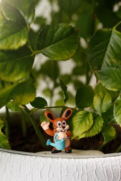Figurine of hare water plant