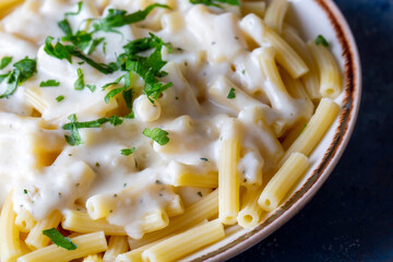 Delicious dishes; Cheese Sauce Pasta