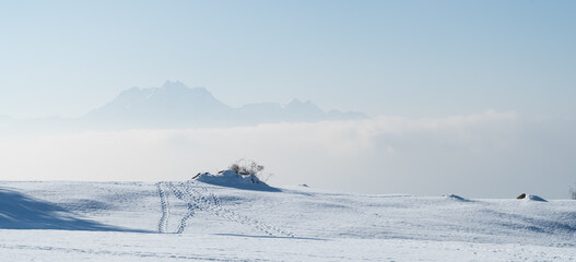 HDR Zugerberg im Winter mit Pulverschnee und strahlendem Sonnenschein, Kanton Zug, Schweiz. Januar 19