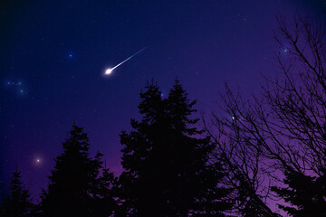 Tree silhouettes, Milky way and shooting stars on a vivid night sky.
