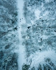 Winter from the sky