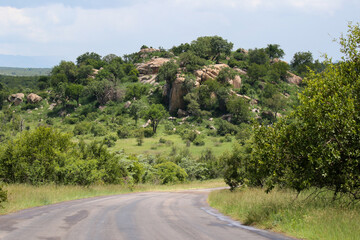 Kruger National Park scenery and landscape