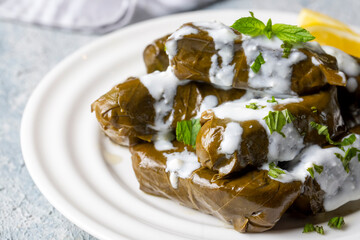 Delicious dolma (sarma) stuffed grape leaves rice, white yogurt sauce. Lebanese dolma sarma on plate. Lebanon turkish greek middle eastern cuisine. (Turkish name; Yaprak sarma)