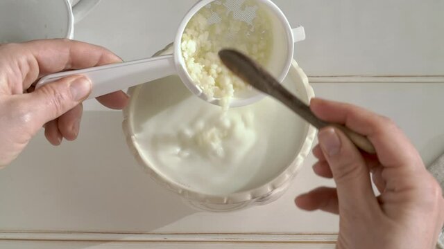 Pouring kefir grains from a strainer into fresh milk - preparation of a homemade fermented drink