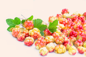 Juicy ripe cloudberries scattered on the surface with green leaves and tails. Nice delicious pinkish-peach background.