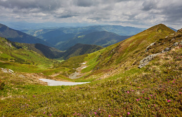 Beautiful view of idyllic mountain scenery in the Alps with traditional old mountain chalet and fresh green meadows with blooming flowers on a sunny day with blue sky