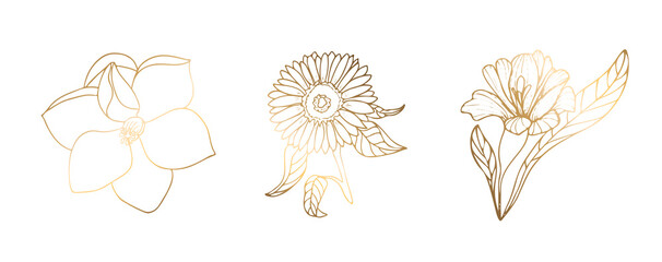 Golden rose, sunflower, magnolia isolated on white background. Handmade flower. Vector illustration. For greeting cards and invitations for wedding, birthday, Valentines Day, Mothers Day and others. © MARINA