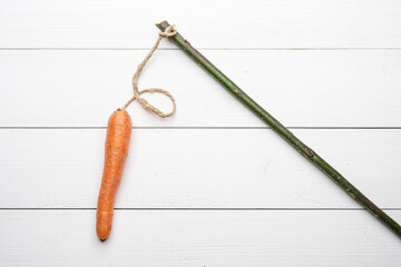 the carrot and the stick