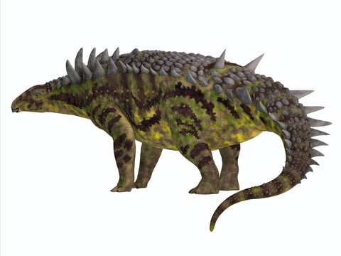 Hungarosaurus Ankylosaurus Dinosaur - Hungarosaurus was an armored herbivore Ankylosaurus dinosaur that lived in Hungary during the Cretaceous Period.