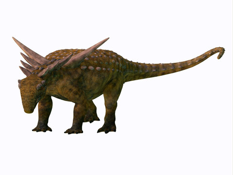 Sauropelta Nodosaurid Dinosaur - Sauropelta was an armored herbivore nodosaur dinosaur that lived in North America during the Cretaceous Period.