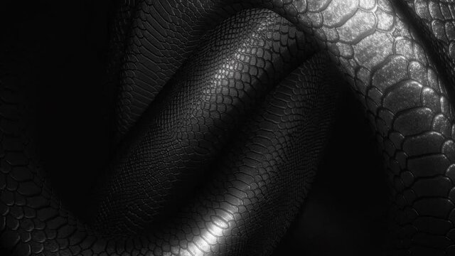 Snake Knot Loop
