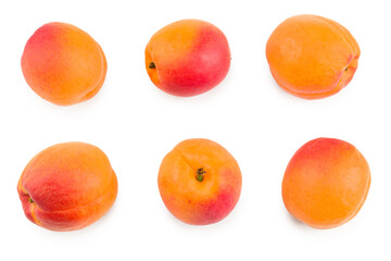 apricot fruits isolated on white background. clipping path. top view