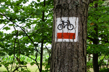 A sign for a cyclist placed in a tree. Polish national bicycle route - R-1. Designation of the...