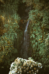 Cachoeira às margens da Rodovia PR 170 - Foz do Areia - Pinhão - Paraná