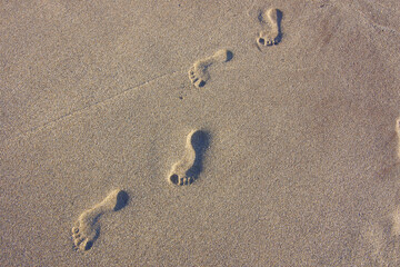 Footprints on the wet sand on the seashore.